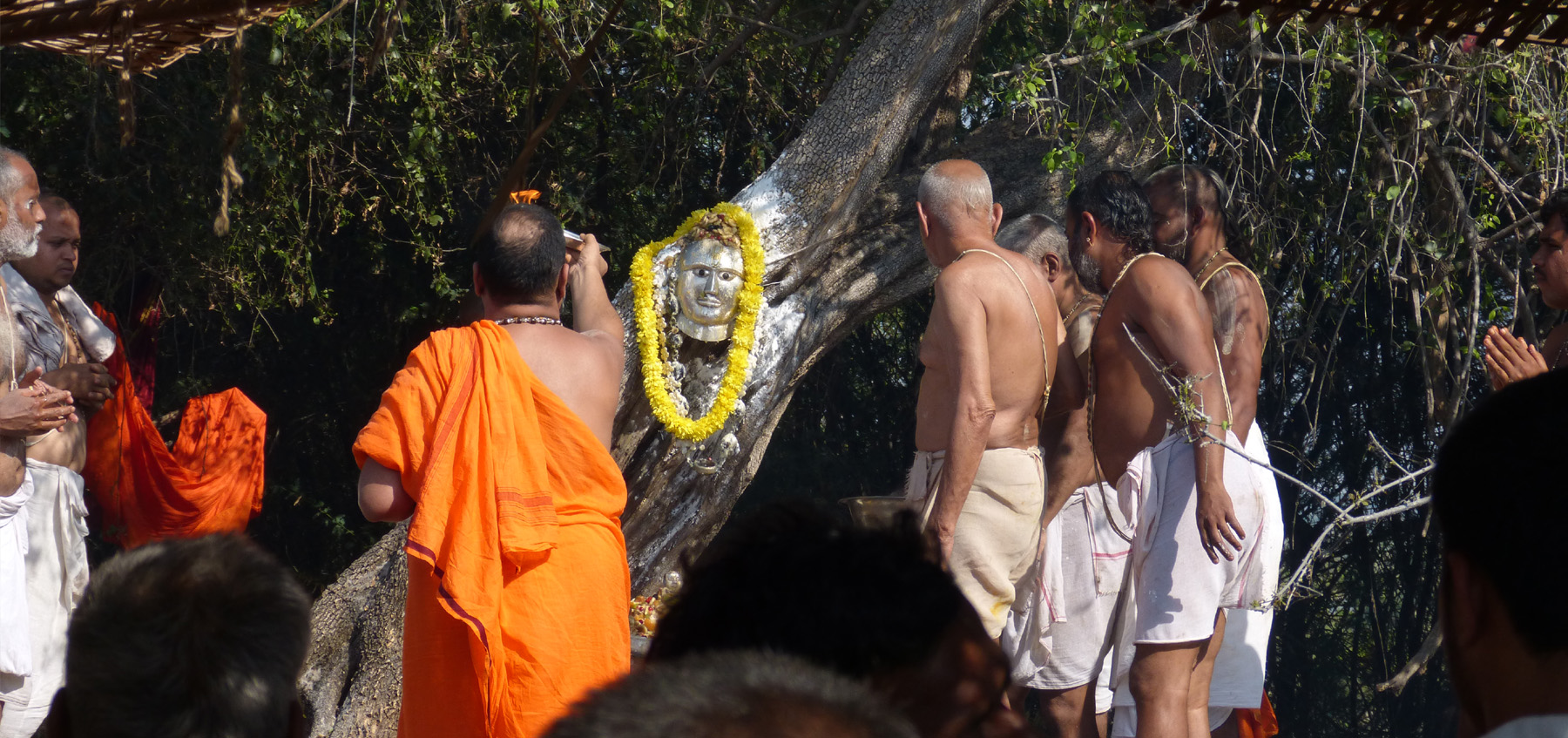 Jitamitraru